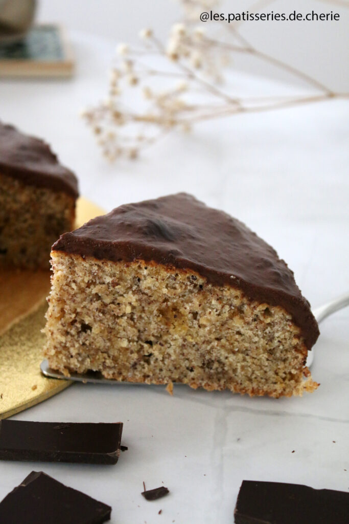 moelleux chocolat noisettes
