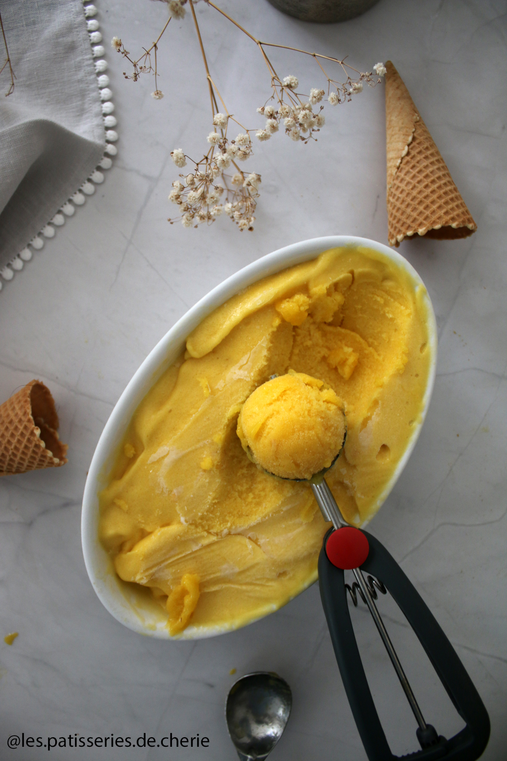 recette sorbet mangue passion